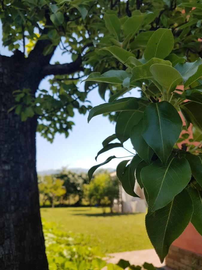 Appartamenti Ca'Melia Sarzana Luaran gambar